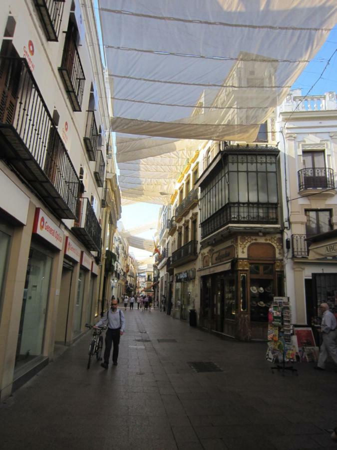 Appartamento Céntrico Plaza Del Salvador