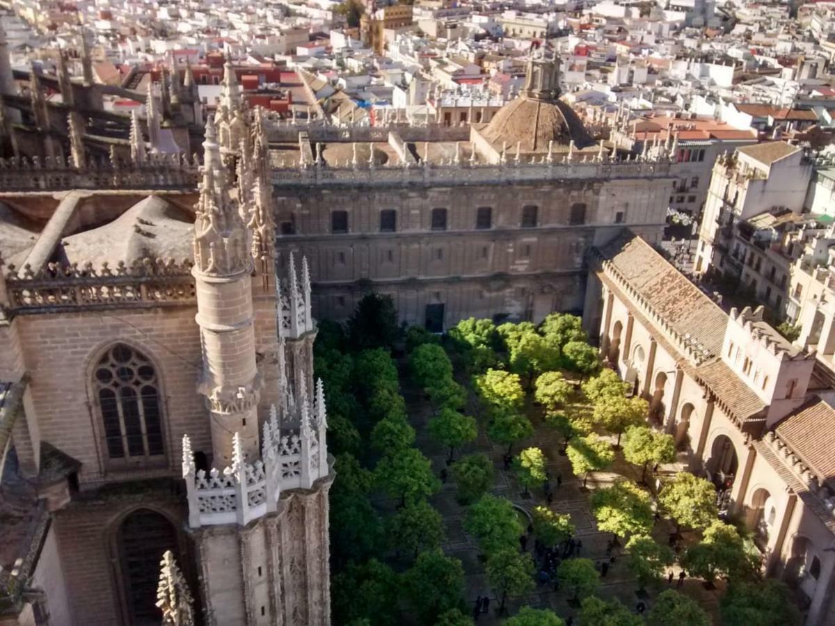 Centrico Plaza Del Salvador Sevilla